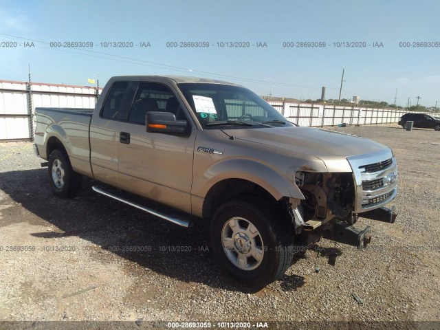 FORD F-150 2013 1ftfx1ef2dkf26892