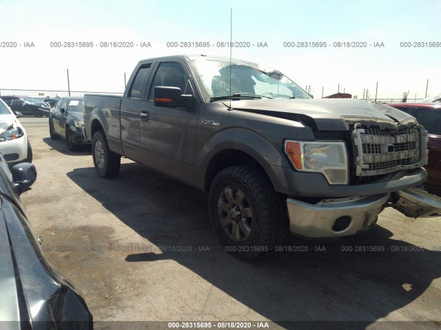 FORD F-150 2013 1ftfx1ef2dkg46658