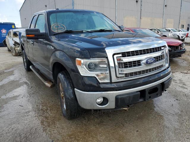 FORD F150 SUPER 2014 1ftfx1ef2efa37113