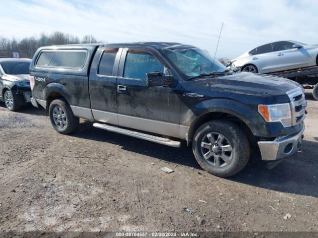 FORD F-150 2014 1ftfx1ef2efb38894