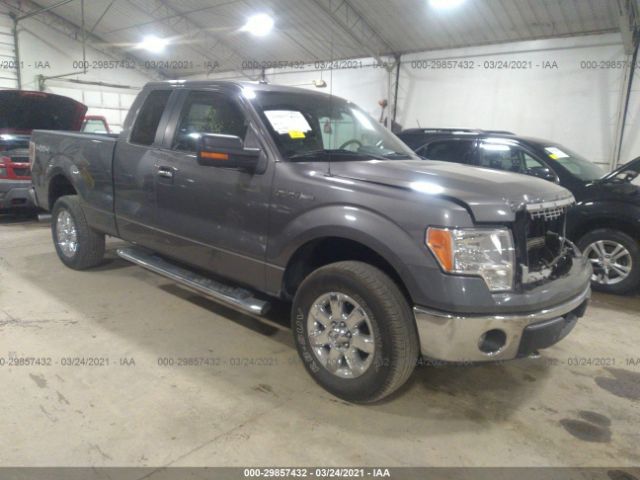 FORD F-150 2014 1ftfx1ef2efb45019