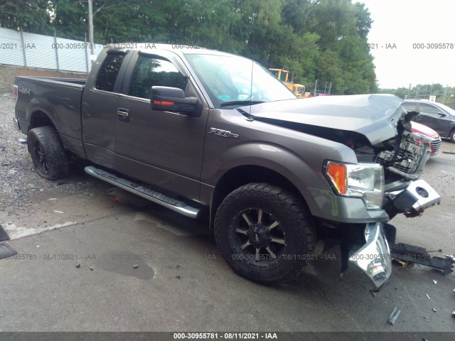 FORD F-150 2014 1ftfx1ef2efc65905