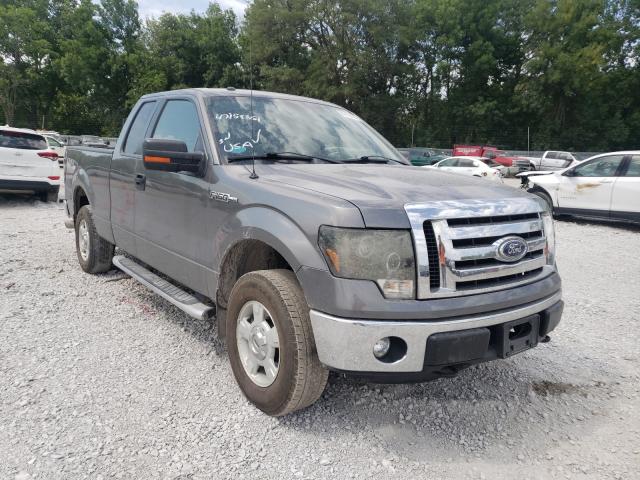 FORD F-150 2011 1ftfx1ef3bfd39859