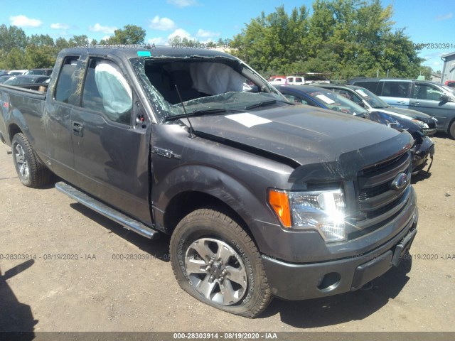 FORD F-150 2013 1ftfx1ef3dfa28032