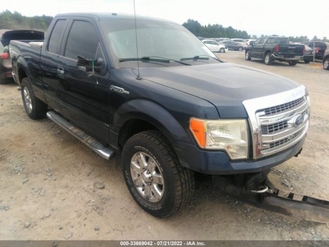 FORD F-150 2013 1ftfx1ef3dfa42416