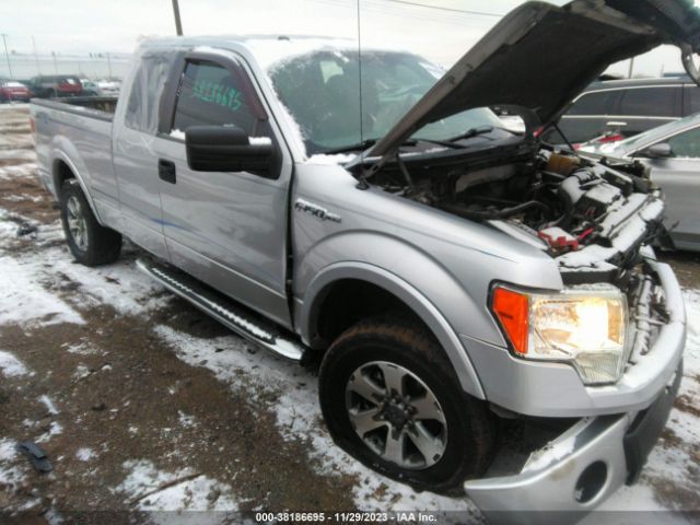 FORD F-150 2013 1ftfx1ef3dfa66263