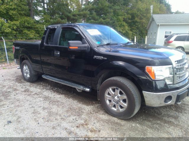 FORD F-150 2013 1ftfx1ef3dfb00248