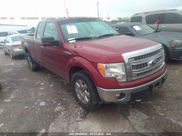 FORD F-150 2013 1ftfx1ef3dfb02582