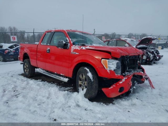 FORD F-150 2013 1ftfx1ef3dfb94731