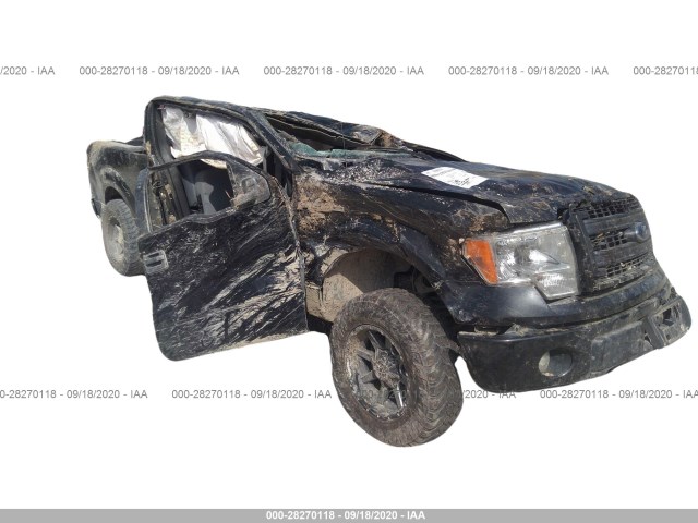 FORD F-150 2013 1ftfx1ef3dfc32913