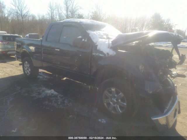 FORD F-150 2013 1ftfx1ef3dfc37786