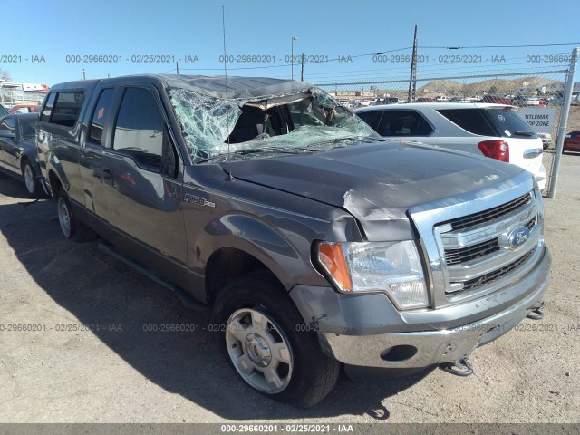 FORD F-150 2013 1ftfx1ef3dkg49858