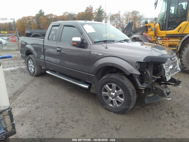 FORD F-150 2014 1ftfx1ef3efc38731