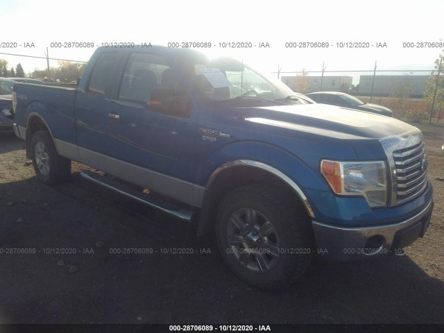 FORD F-150 2011 1ftfx1ef4bfc20556