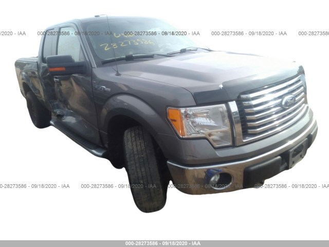 FORD F-150 2011 1ftfx1ef4bfc59034