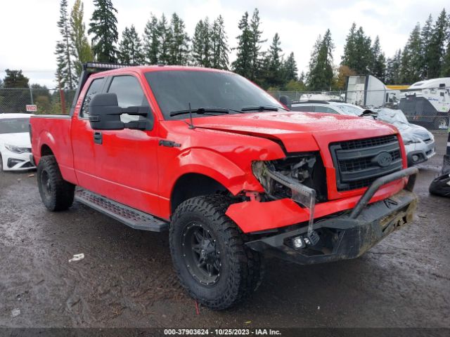 FORD F-150 2013 1ftfx1ef4dfa47592