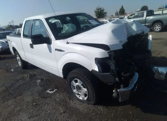 FORD F-150 2013 1ftfx1ef4dfa54283