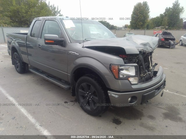 FORD F-150 2013 1ftfx1ef4dfa55868