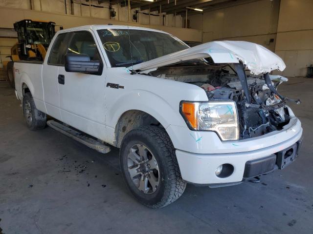 FORD F150 SUPER 2013 1ftfx1ef4dfa74291