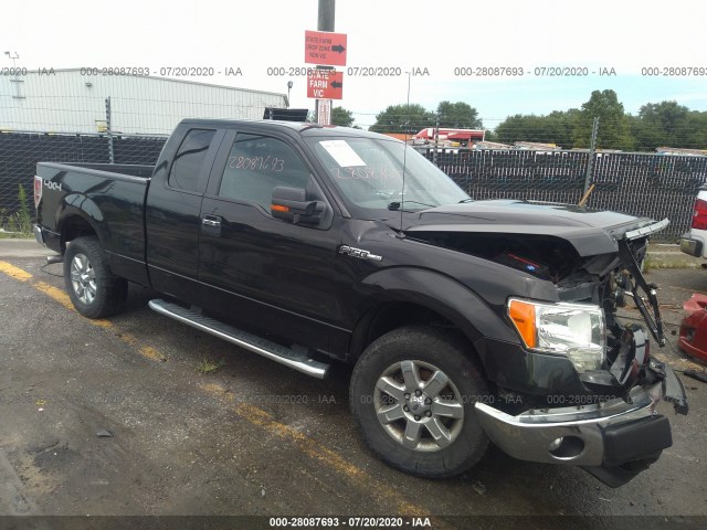 FORD F-150 2013 1ftfx1ef4dfb66968