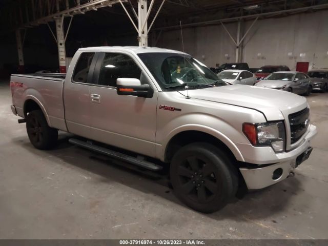 FORD F-150 2013 1ftfx1ef4dfc15490