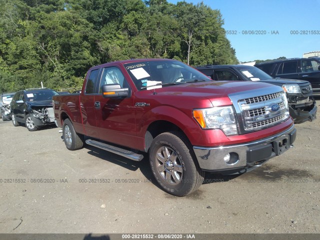 FORD F-150 2013 1ftfx1ef4dfc23766