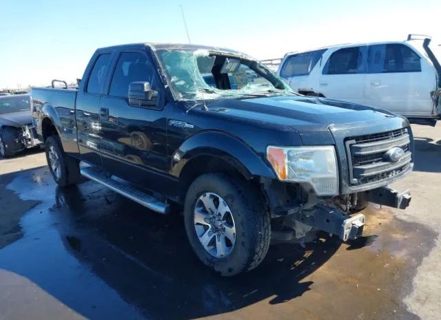 FORD F-150 2013 1ftfx1ef4dfe07072