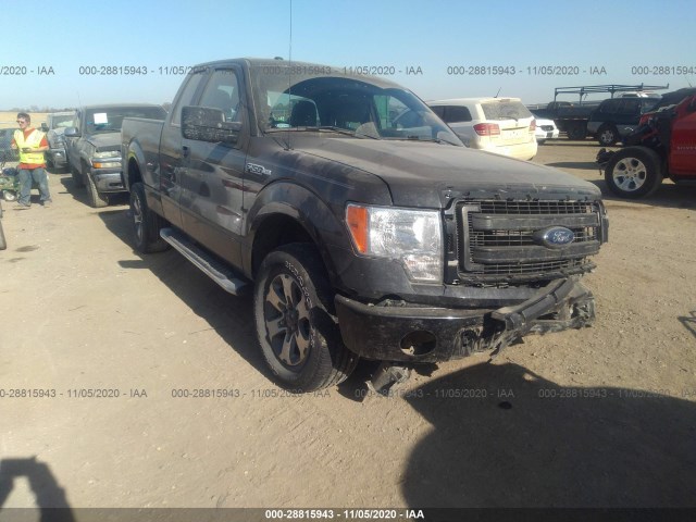 FORD F-150 2013 1ftfx1ef4dkf36694