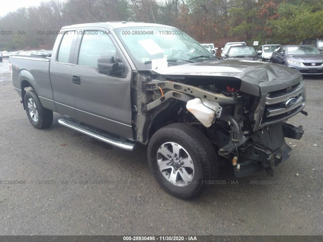 FORD F-150 2014 1ftfx1ef4efa57508