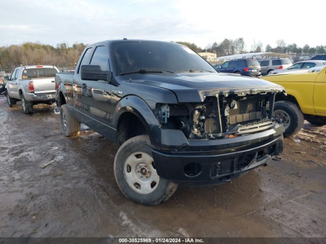 FORD F-150 2014 1ftfx1ef4efa65981