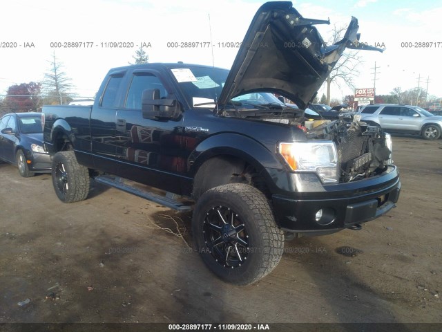 FORD F-150 2014 1ftfx1ef4efb59696