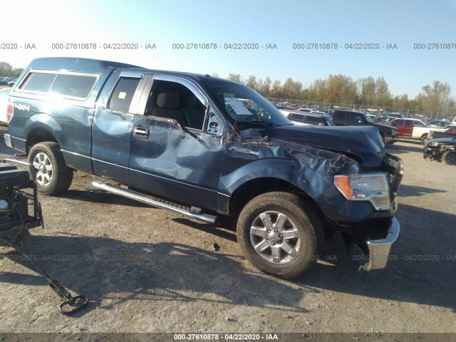 FORD F-150 2014 1ftfx1ef4efd06745