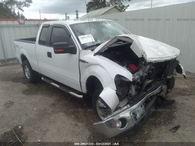 FORD F-150 2011 1ftfx1ef5bfb66278