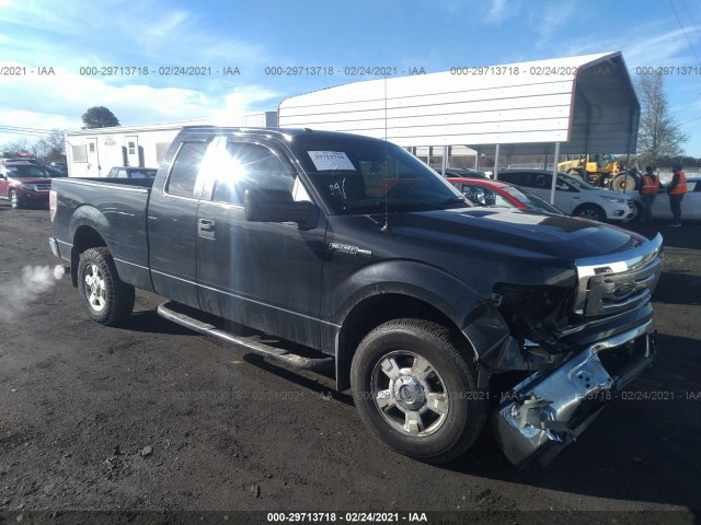 FORD F-150 2012 1ftfx1ef5cfb30821