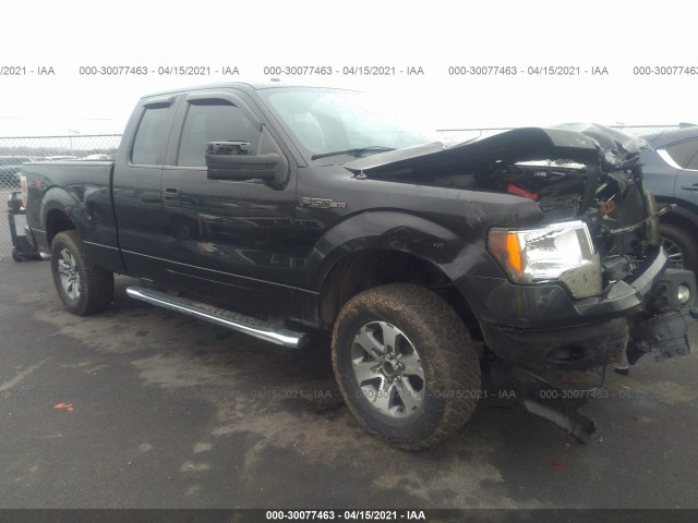 FORD F-150 2013 1ftfx1ef5dfa23172