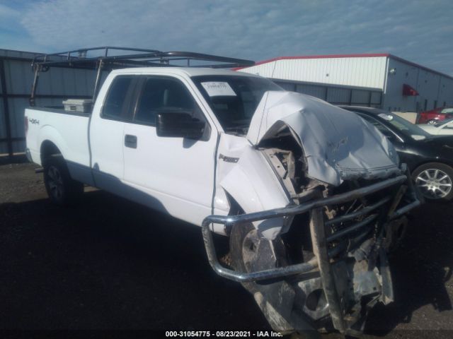 FORD F-150 2013 1ftfx1ef5dfa47858