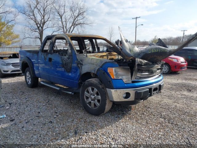 FORD F-150 2013 1ftfx1ef5dfa52087