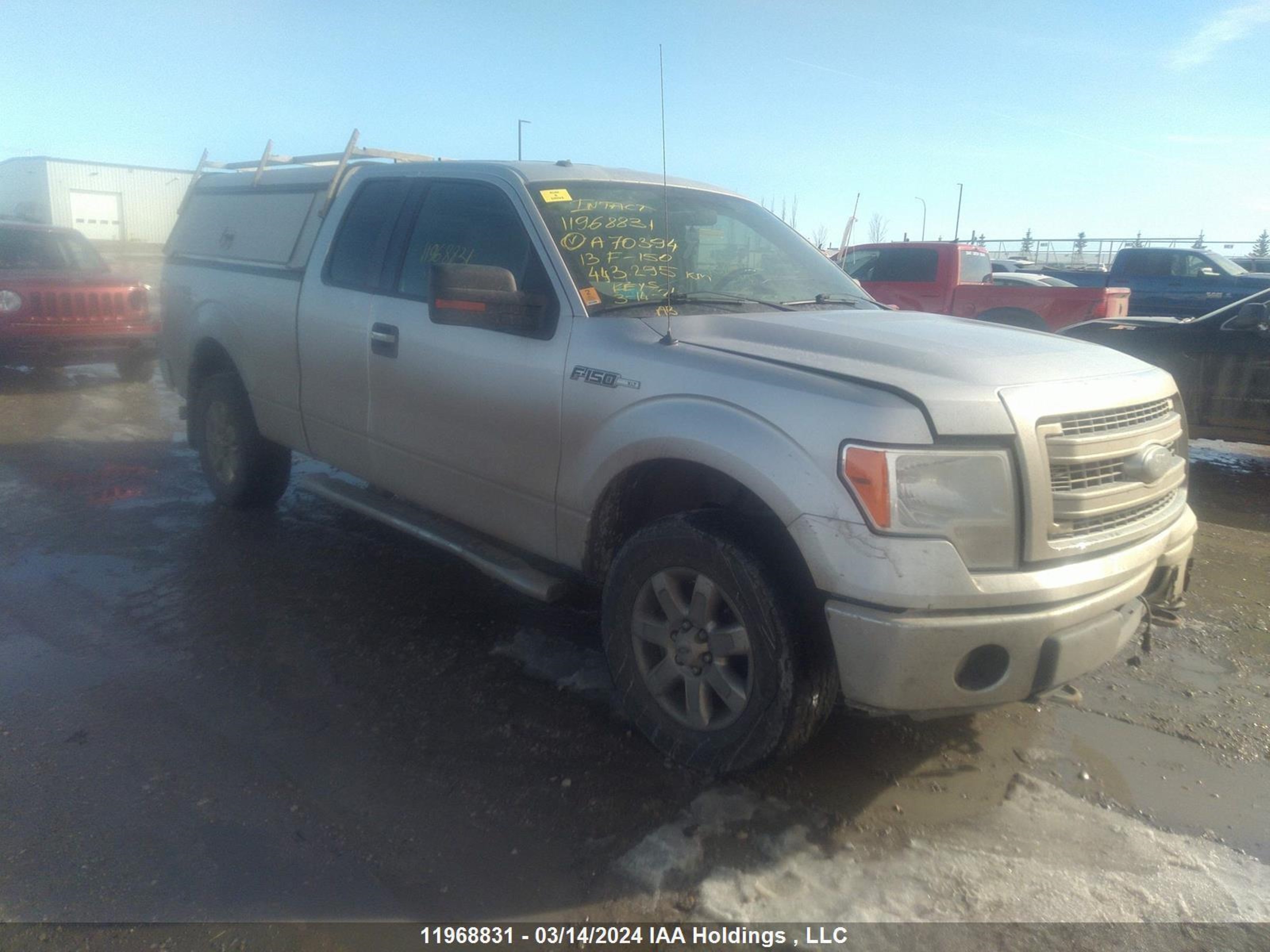 FORD F-150 2013 1ftfx1ef5dfa70394