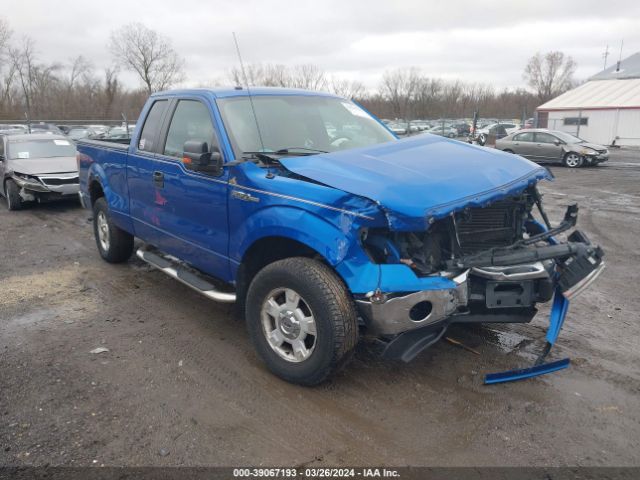 FORD F-150 2013 1ftfx1ef5dfa99989