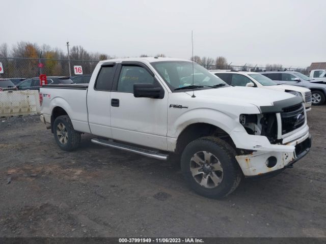 FORD F-150 2013 1ftfx1ef5dfb33574