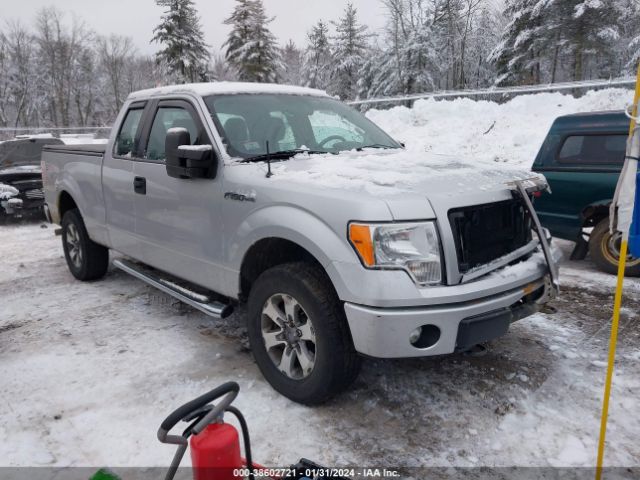 FORD F-150 2013 1ftfx1ef5dfb79339