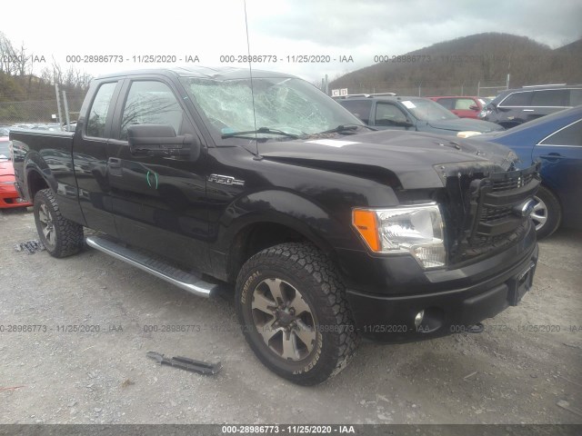 FORD F-150 2013 1ftfx1ef5dfd46184