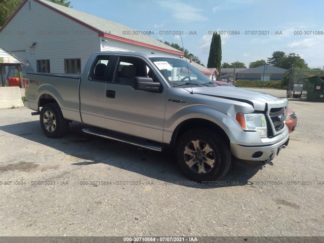 FORD F-150 2013 1ftfx1ef5dfd87317