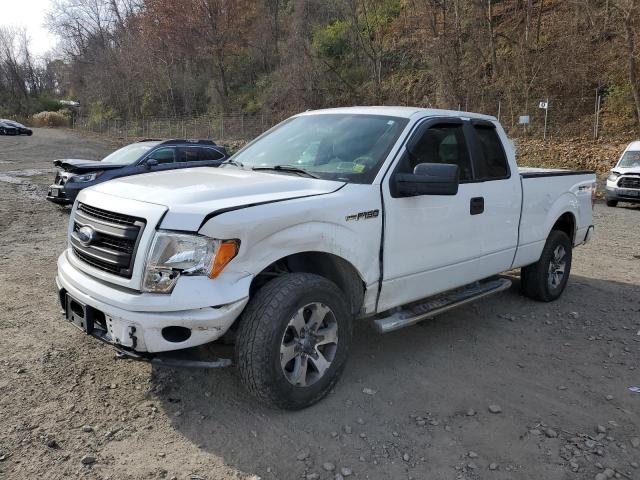 FORD F-150 2013 1ftfx1ef5dfd88564