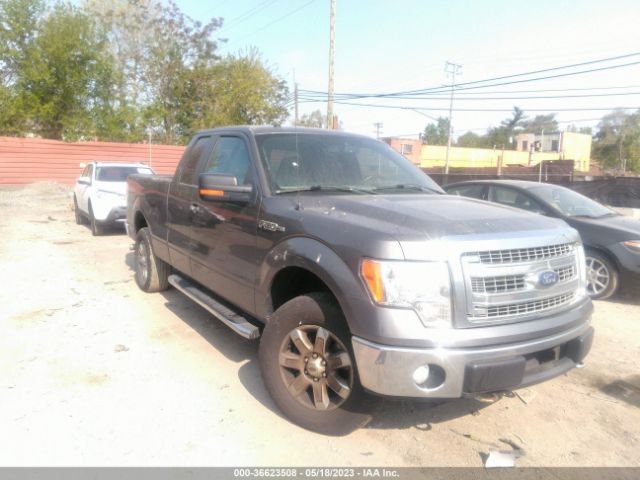 FORD F-150 2013 1ftfx1ef5dfe00194