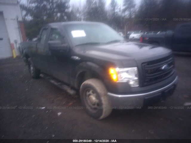 FORD F-150 2014 1ftfx1ef5efc82360