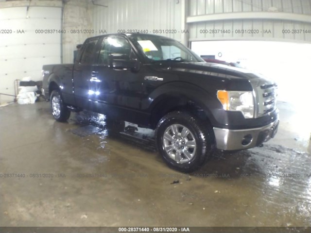 FORD F-150 2011 1ftfx1ef6bfa07981