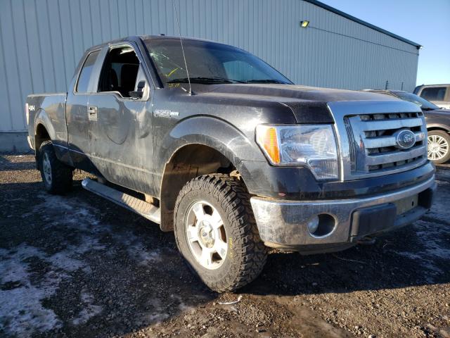 FORD F150 SUPER 2011 1ftfx1ef6bfa66531