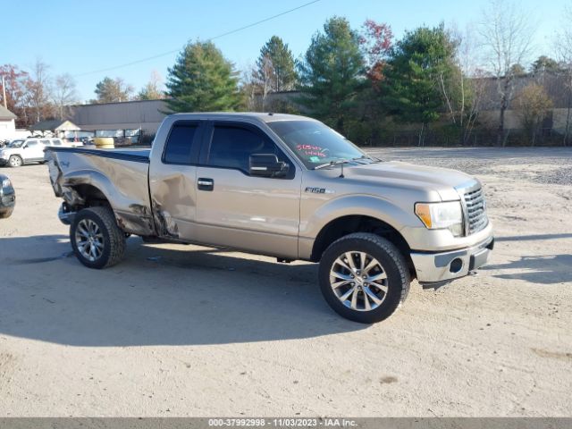 FORD F-150 2011 1ftfx1ef6bfb80013