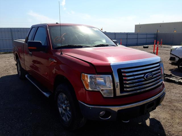 FORD F150 SUPER 2011 1ftfx1ef6bkd56436